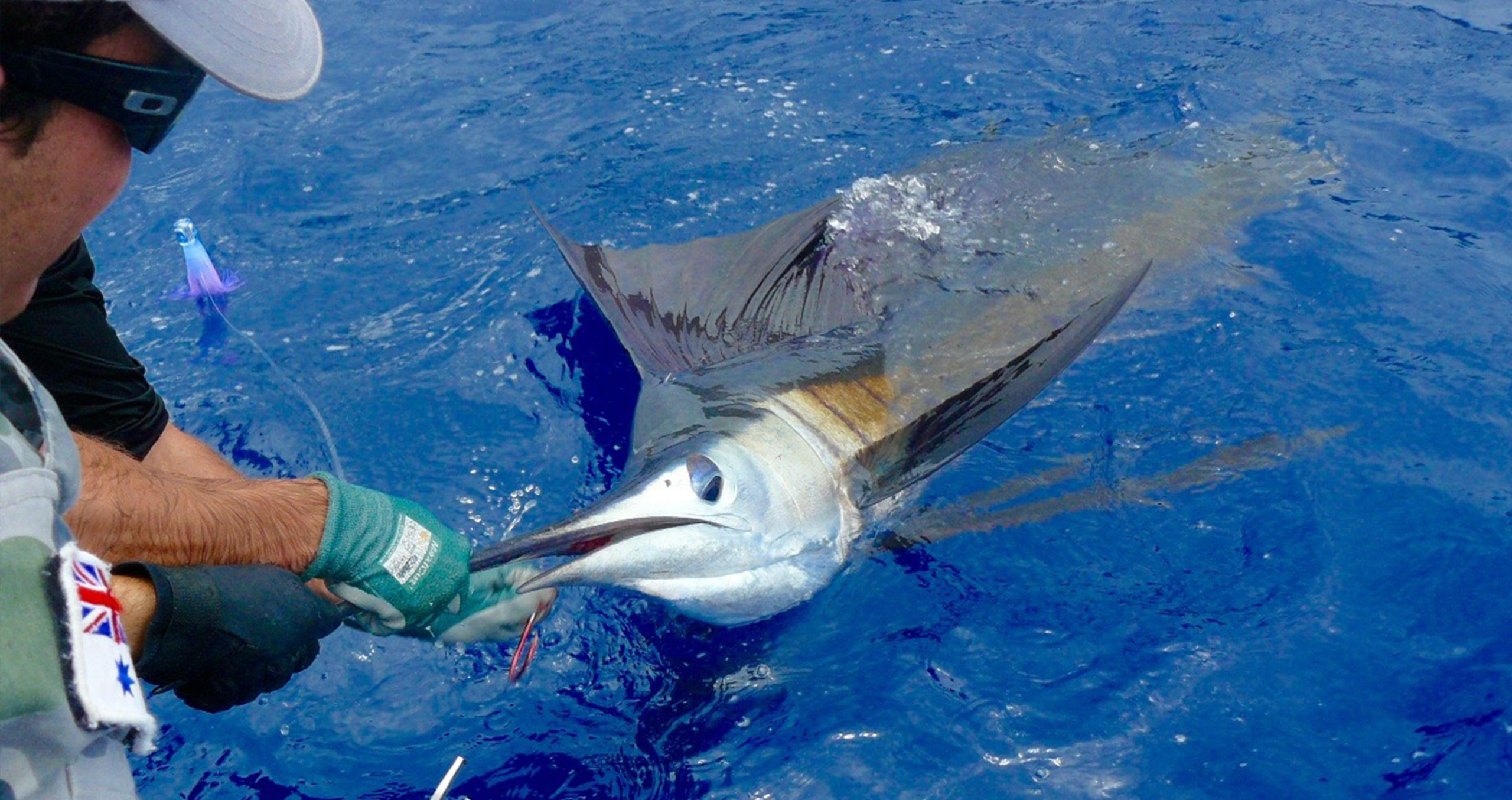 Spearfishing Tonga  Fishing Charters in Eua – Spearfishing Charters &  Sportfishing Charters in Tonga Eua